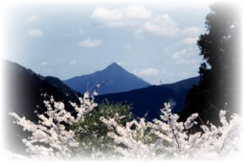 千石タクシー　東吉野　高見山